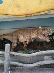 点击看大图 -宝燕乐园(闵行旗舰店)