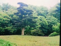 -韶山毛泽东同志故居