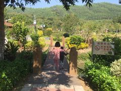 -林丰温泉度假山庄