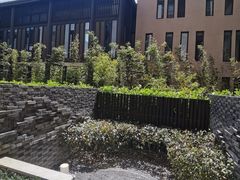-上海崇明金茂凯悦酒店