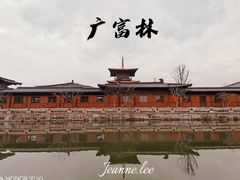 -广富林郊野公园