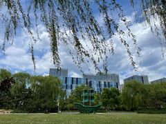 -大兴滨河森林公园