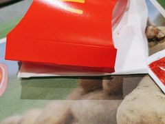 -麦当劳(北京大兴机场二层国内到达(安检外)店)