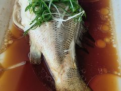 -云中小雅