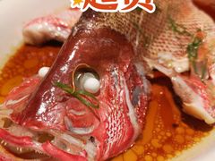 清蒸红立鱼-昌隆•家家鹅乡•海南菜老字号(琼海店)