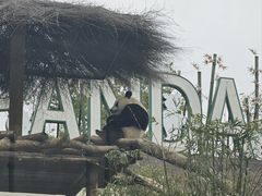 -武汉动物园