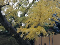 -无锡惠山寺