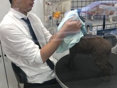 -BABYDOG宝贝狗宠物乐园(欧洲城店)