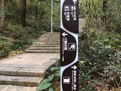 -广东花都湖国家湿地公园