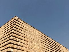 -盘龙城国家考古遗址公园