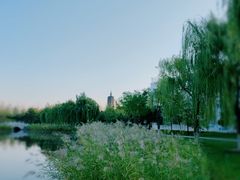 -西海子公园
