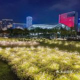 南沙夜景？原来你不懂它的美[礼花][礼花]