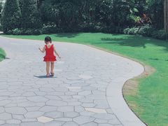 -味餐厅·海鲜·火锅·自助餐