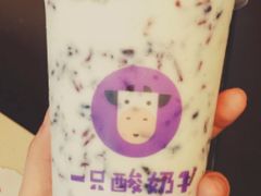 -一只酸奶牛(八一路店)