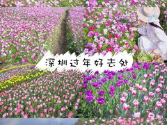-香蜜公园
