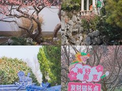 -梅花山(明孝陵内)
