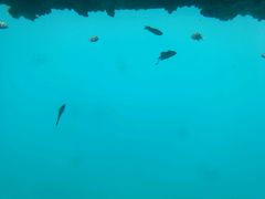-亚龙湾海底世界