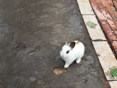 -鄂尔多斯野生动物园