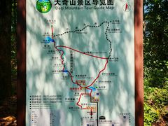 -大奇山国家森林公园
