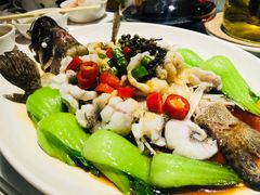 味淋鲜花椒龙趸-维园悦谱·海派家常菜(乌鲁木齐南路店)