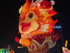 -中华恐龙园