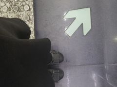 -大龙山(地铁站)