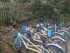 -白鹭湾湿地公园