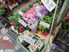 -秦美花卉(天朗·莱茵小城2期店)