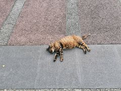 -苏州河梦清园环保主题公园