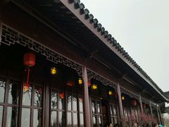 茶室-上海海湾国家森林公园