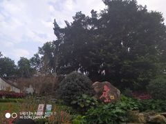 -乌山风景区