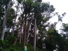 -罗三妹山
