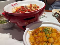 -辣可可·小炒黄牛肉(望京凯德MALL店)