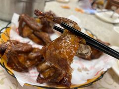 -百利鸽王(紫薇路店)