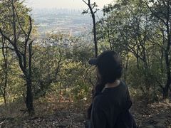 -火炉山森林公园