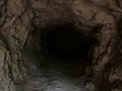 -上海佘山国家森林公园天马山园