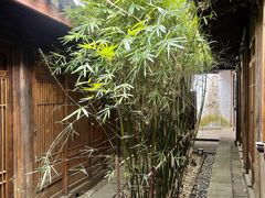 -鸣鹤古镇