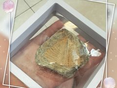 -房山世界地质公园博物馆