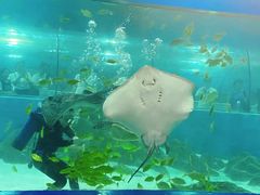-苏州海洋馆