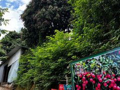-茗荔园农庄(大涌店)