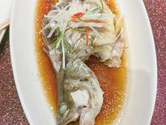 -绿雅酒家(江西中路店)