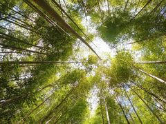 -鸡枕山