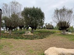 -汉长安城未央宫国家考古遗址公园