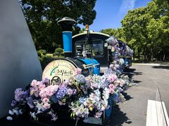 -上海鲜花港