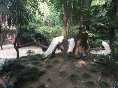 -上海动物园(地铁站)