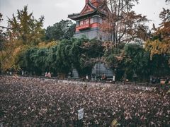 -四川大学(华西校区)