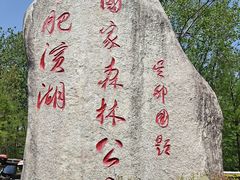 -合肥滨湖国家森林公园