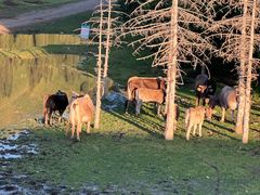 -新疆那拉提国家旅游度假区