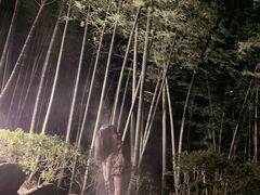 -江南天池高山汤泉城