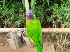 -南宫五洲植物乐园